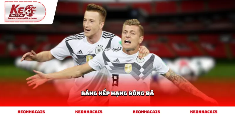 Cách xem bảng xếp hạng bóng đá chính xác và nhanh chóng