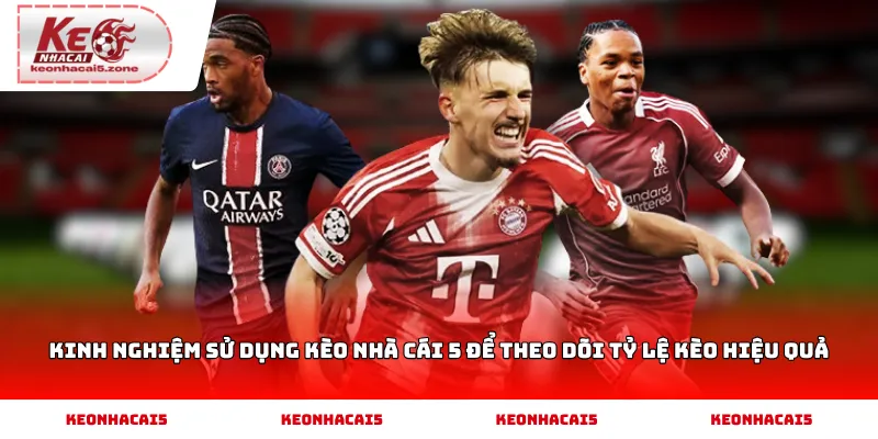 Kinh nghiệm sử dụng Kèo Nhà Cái 5 để theo dõi tỷ lệ kèo hiệu quả
