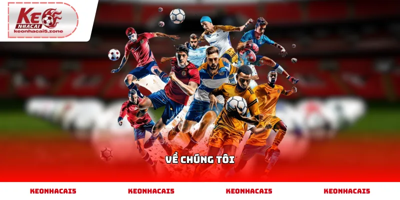 Về chúng tôi và thông tin giới thiệu website